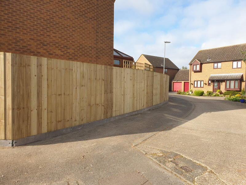 Privacy screening in Cambridgeshire
