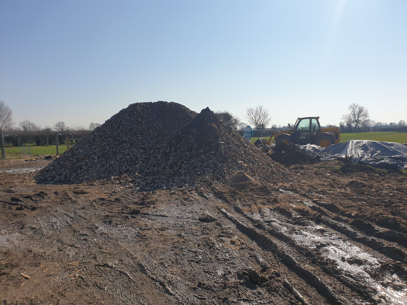Groundworks project by Green Room Gardens